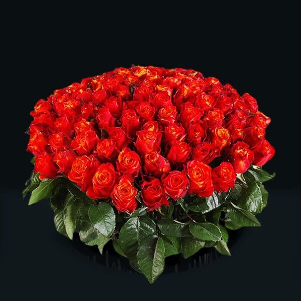 Troop of Roses