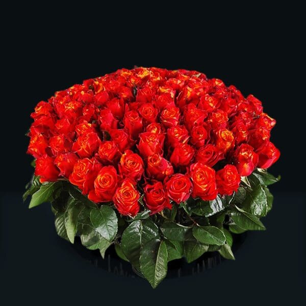 Troop of Roses