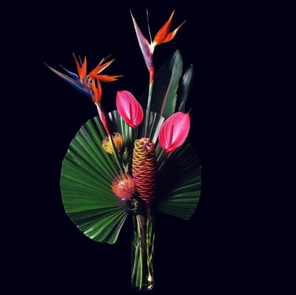 Tropical Lagoon